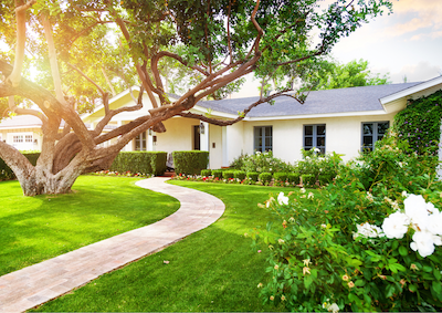 Creating Calm: How Landscaping Aids Your Emotional Health